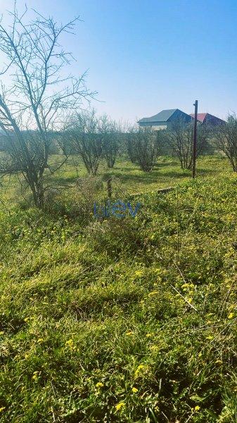 Satış 3 otaqlı Torpaq  2300m², Sumqayıt