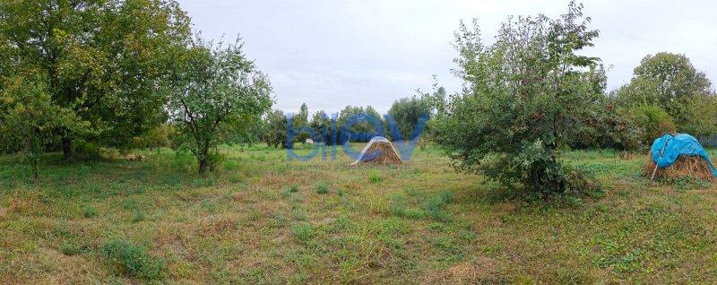 Satış  otaqlı Torpaq  70 sotm², Qəbələ