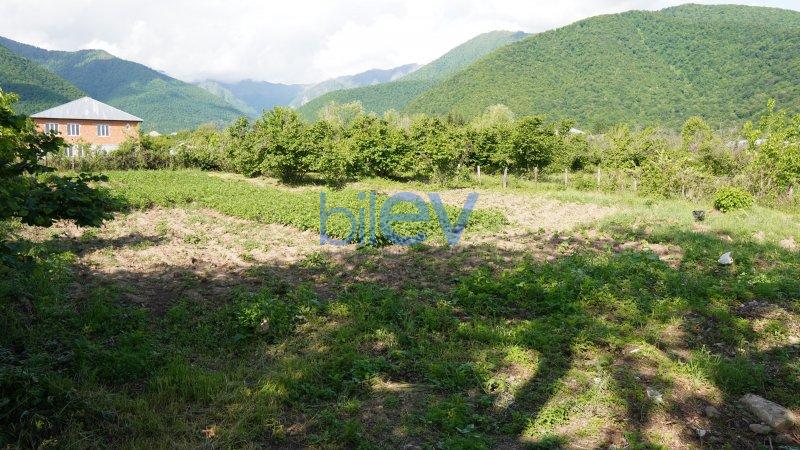 Satış  otaqlı Torpaq  12m², Qax