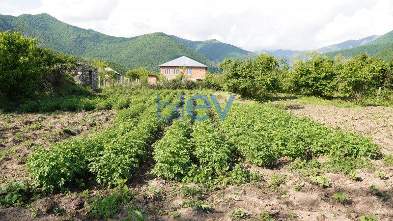 Satış  otaqlı Torpaq  12m², Qax