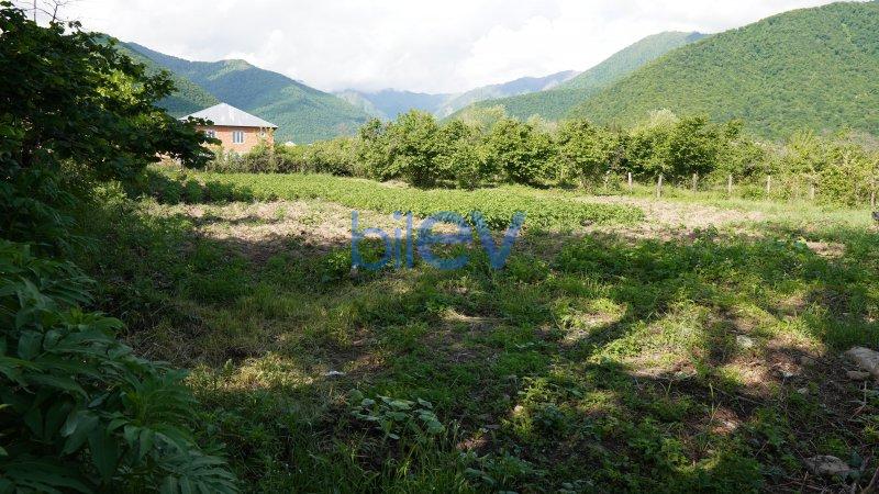Satış  otaqlı Torpaq  12m², Qax