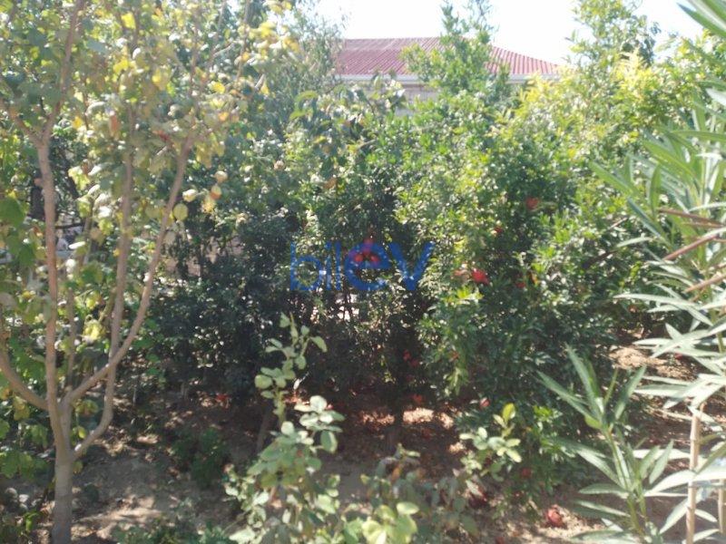 Satış 3 otaqlı Bağ evi  80m², Bakı