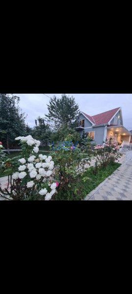 Kirayə (günlük) 4 otaqlı Villa  250m², Qəbələ