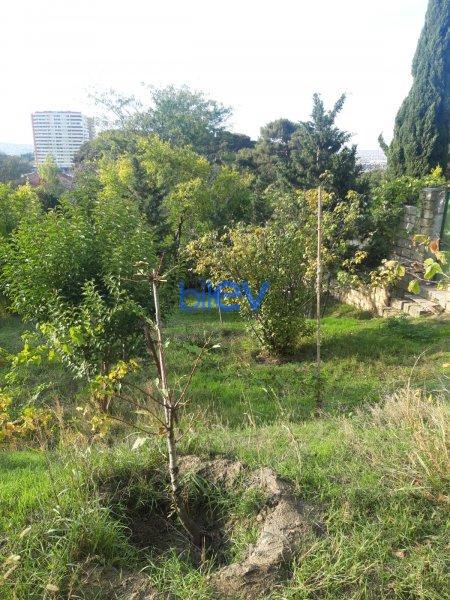 Satış  otaqlı Torpaq  21 sotm², Bakı