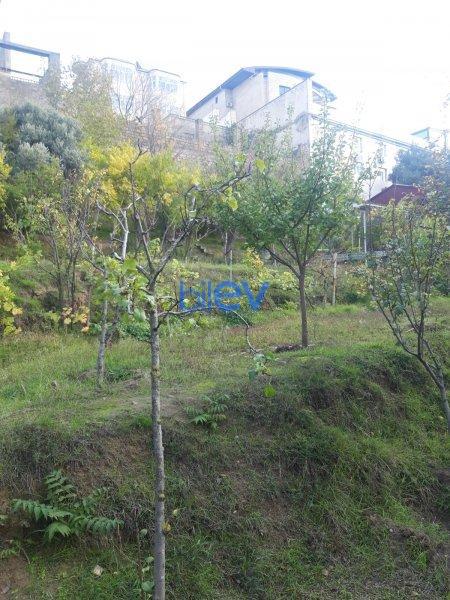 Satış  otaqlı Torpaq  21 sotm², Bakı