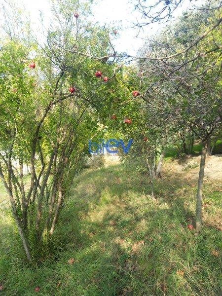 Satış  otaqlı Torpaq  21 sotm², Bakı