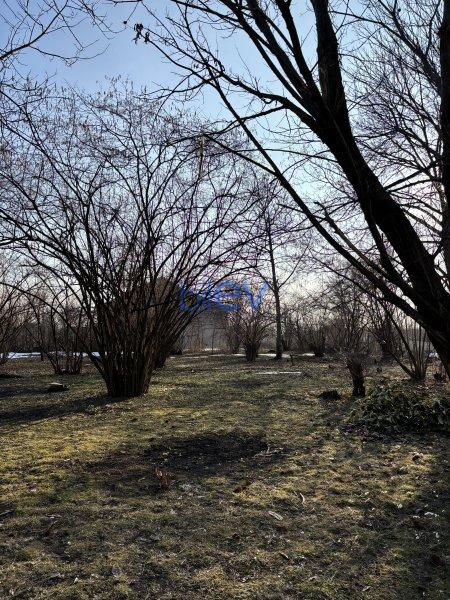 Satış  otaqlı Torpaq  m², Qəbələ