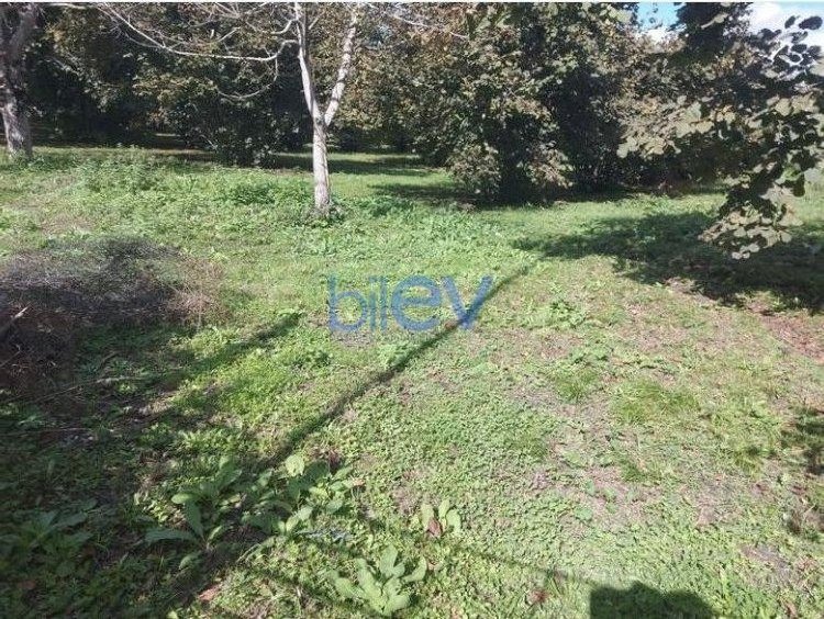 Satılır  otaqlı Torpaq  1200m², Qəbələ
