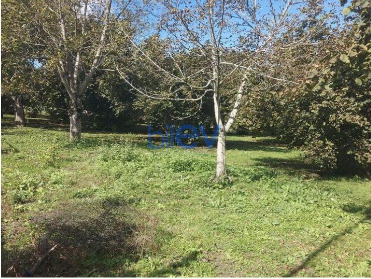 Satılır  otaqlı Torpaq  1200m², Qəbələ