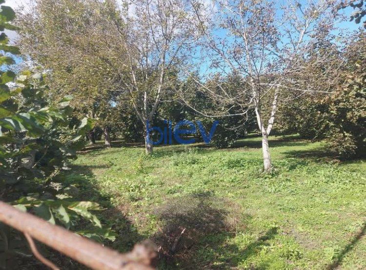 Satılır  otaqlı Torpaq  1200m², Qəbələ