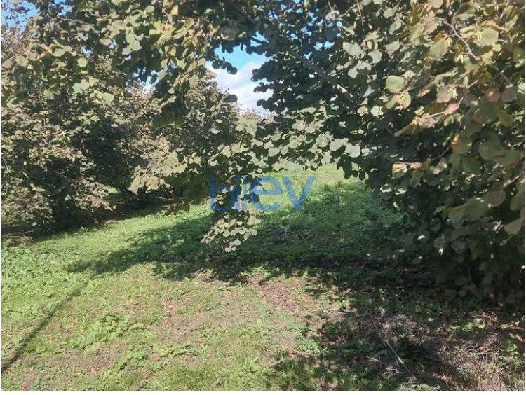 Satılır  otaqlı Torpaq  1200m², Qəbələ