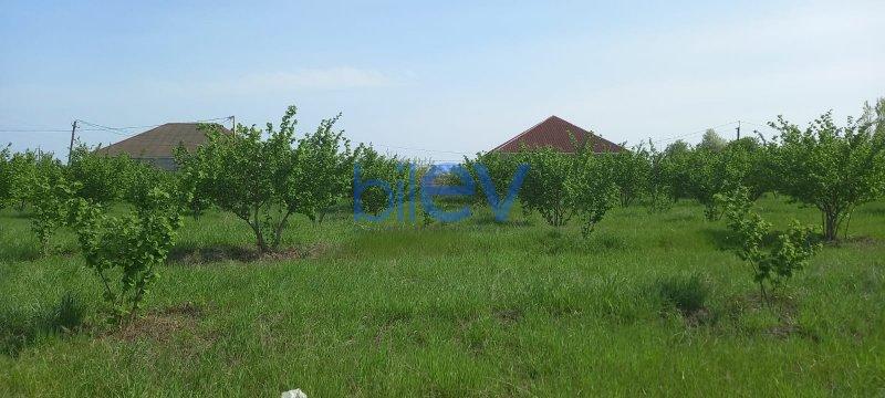 Satış 3 otaqlı Bağ evi  120m², Xaçmaz / Nabran
