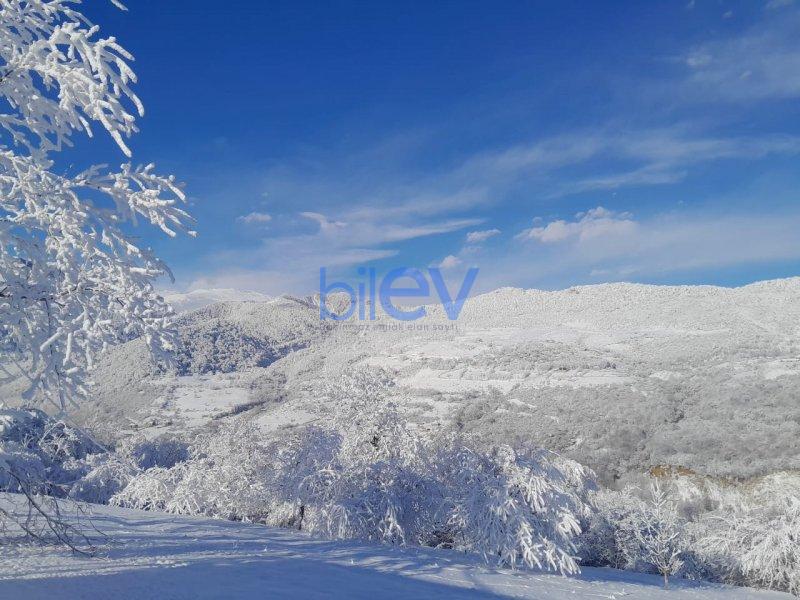 Kirayə (günlük) 2 otaqlı Bağ evi  64m², Quba