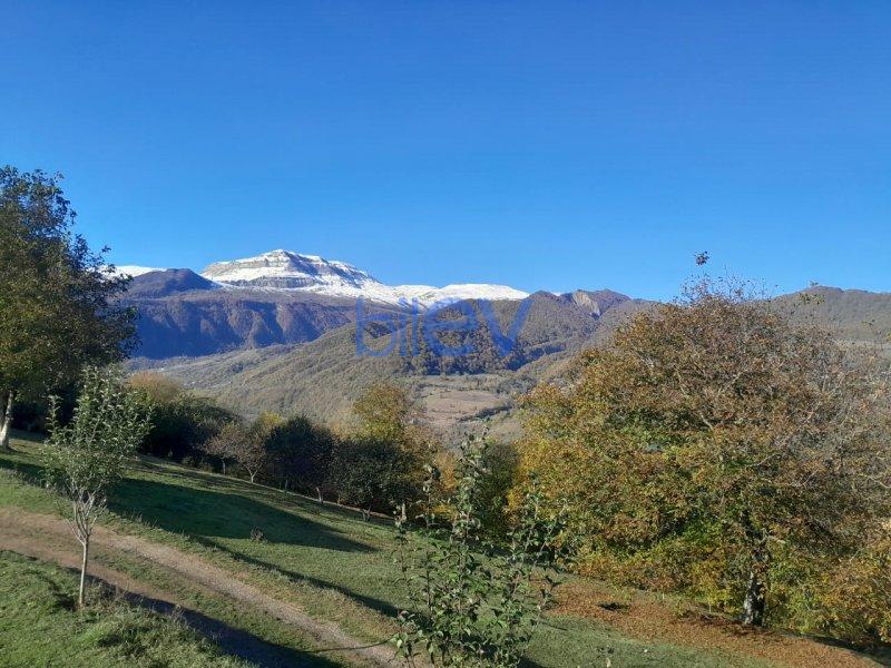 Kirayə (günlük) 2 otaqlı Bağ evi  64m², Quba
