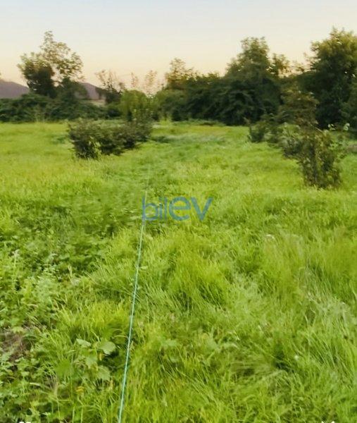 Satış  otaqlı Torpaq  13m², Qəbələ