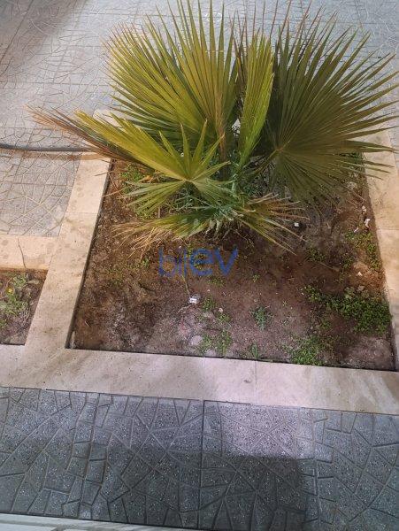 Kirayə (aylıq) 5 otaqlı Bağ evi  140m², Bakı