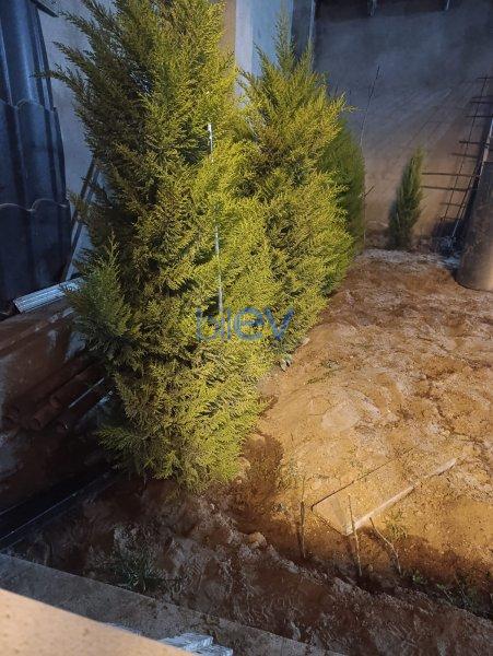 Kirayə (aylıq) 5 otaqlı Bağ evi  140m², Bakı