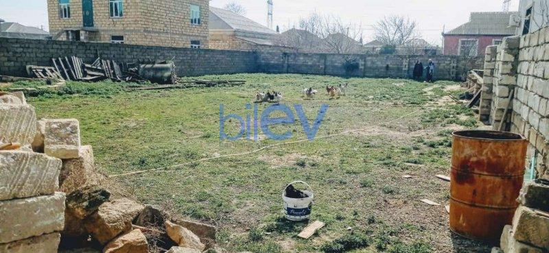 Satış  otaqlı Torpaq  m², Bakı