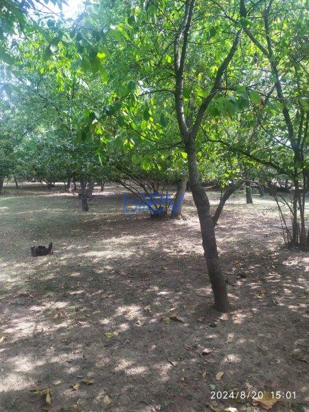 Satılır  otaqlı Torpaq  19m², Qusar