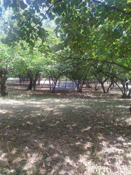 Satılır  otaqlı Torpaq  19m², Qusar