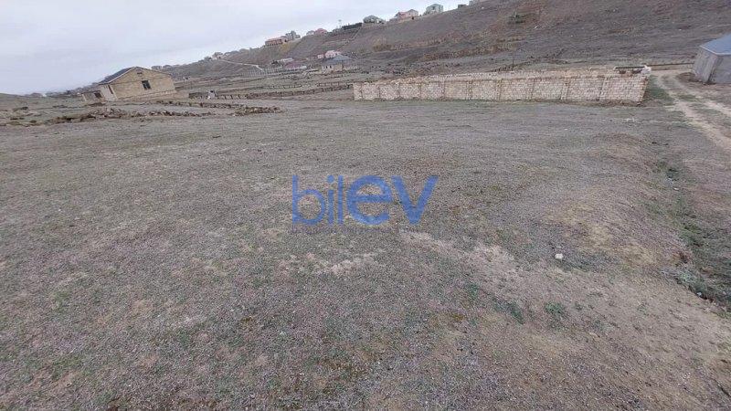 Satılır  otaqlı Torpaq  10000m², Bakı