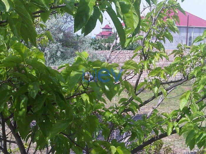 Satılır  otaqlı Torpaq  14m², Bakı