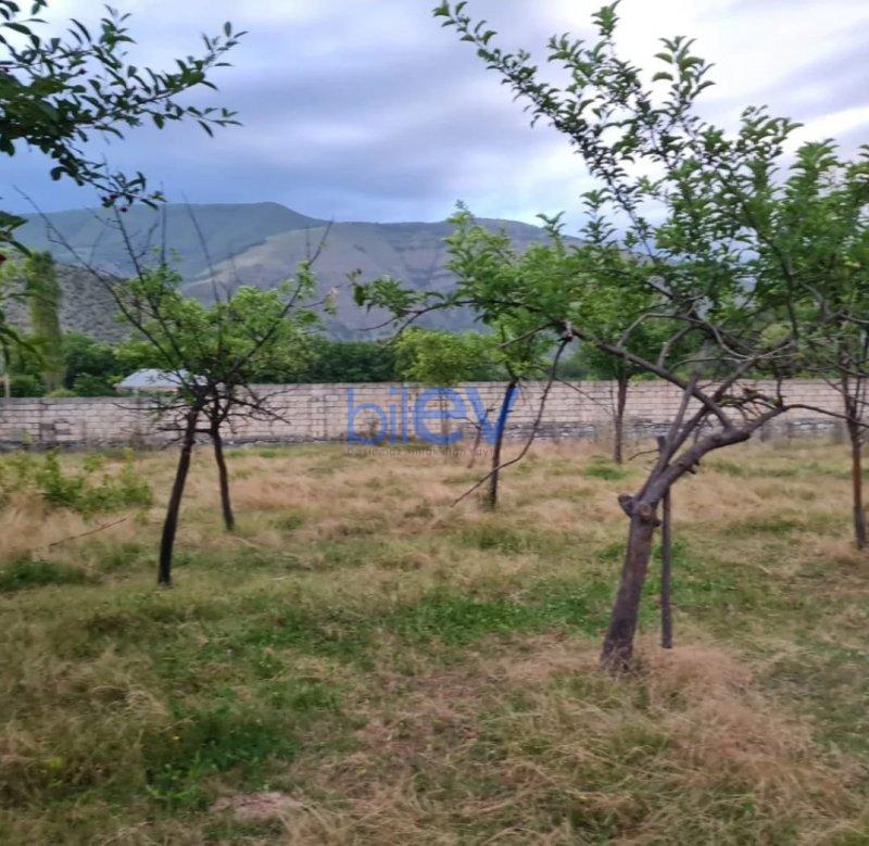 Satılır  otaqlı Torpaq  24m², Şəki