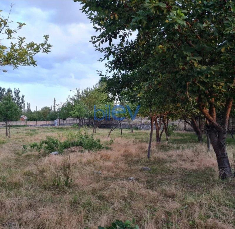 Satılır  otaqlı Torpaq  24m², Şəki