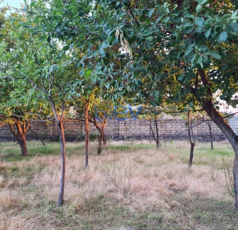 Satılır  otaqlı Torpaq  24m², Şəki