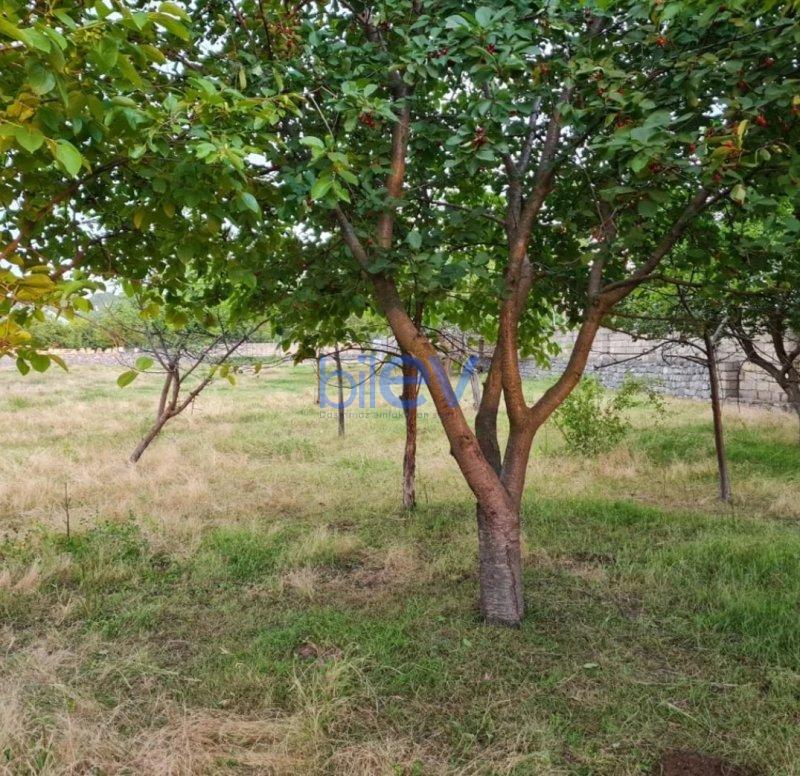 Satılır  otaqlı Torpaq  24m², Şəki