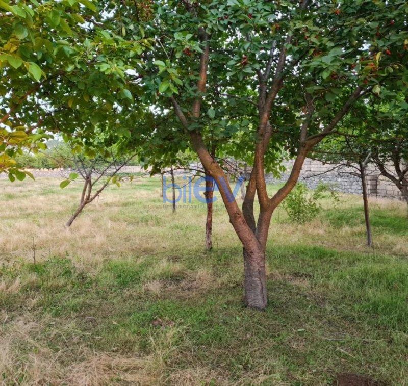 Satılır  otaqlı Torpaq  24m², Şəki