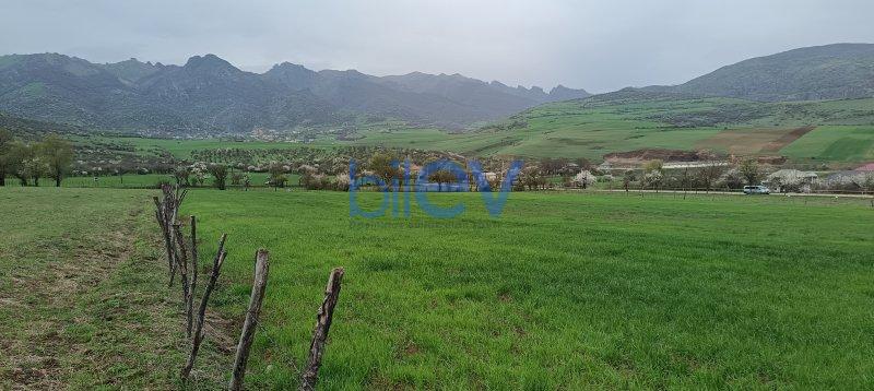 Satılır  otaqlı Torpaq  4500m², Lerik