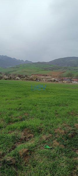 Satılır  otaqlı Torpaq  4500m², Lerik