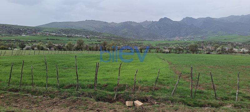 Satılır  otaqlı Torpaq  4500m², Lerik