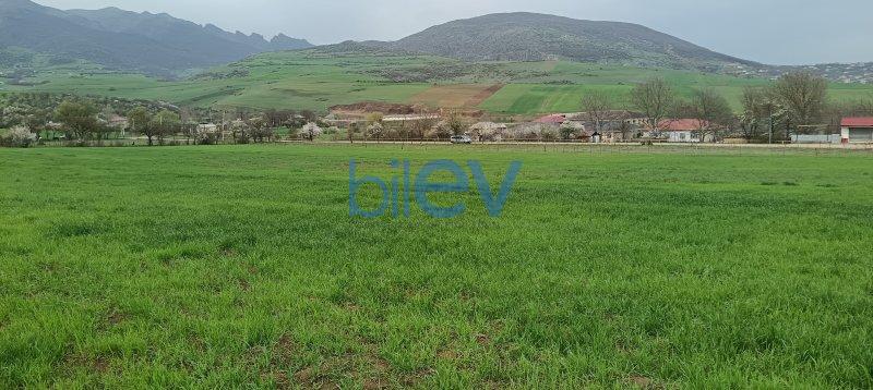 Satılır  otaqlı Torpaq  4500m², Lerik