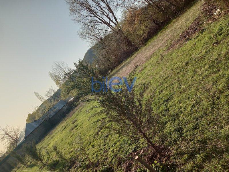 Satılır  otaqlı Torpaq  10m², Qəbələ