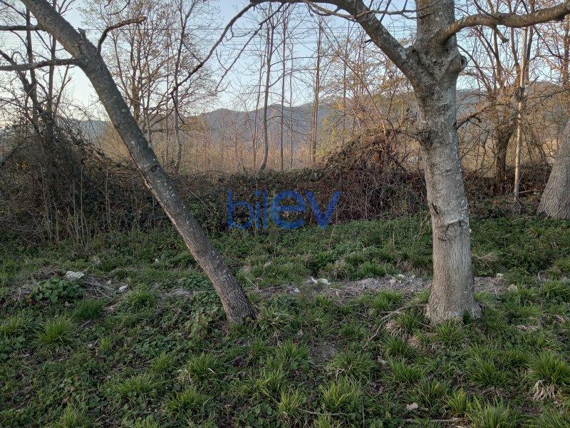 Satılır  otaqlı Torpaq  10m², Qəbələ