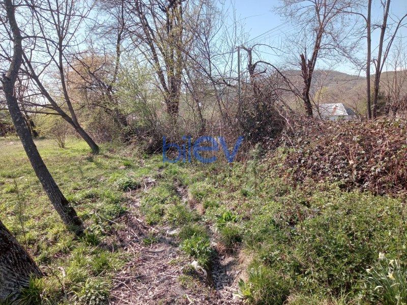 Satılır  otaqlı Torpaq  10m², Qəbələ