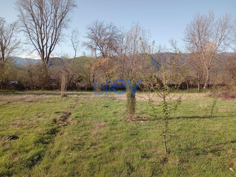 Satılır  otaqlı Torpaq  10m², Qəbələ
