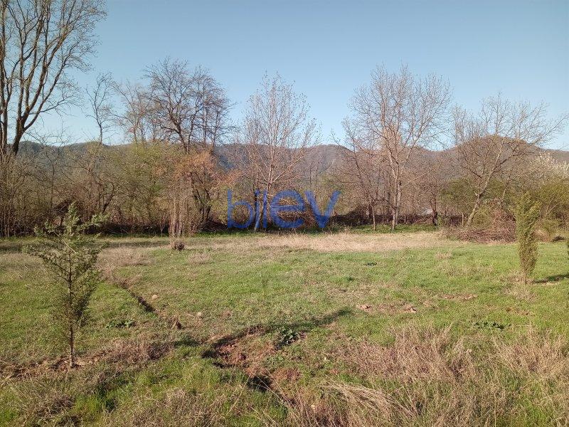 Satılır  otaqlı Torpaq  10m², Qəbələ
