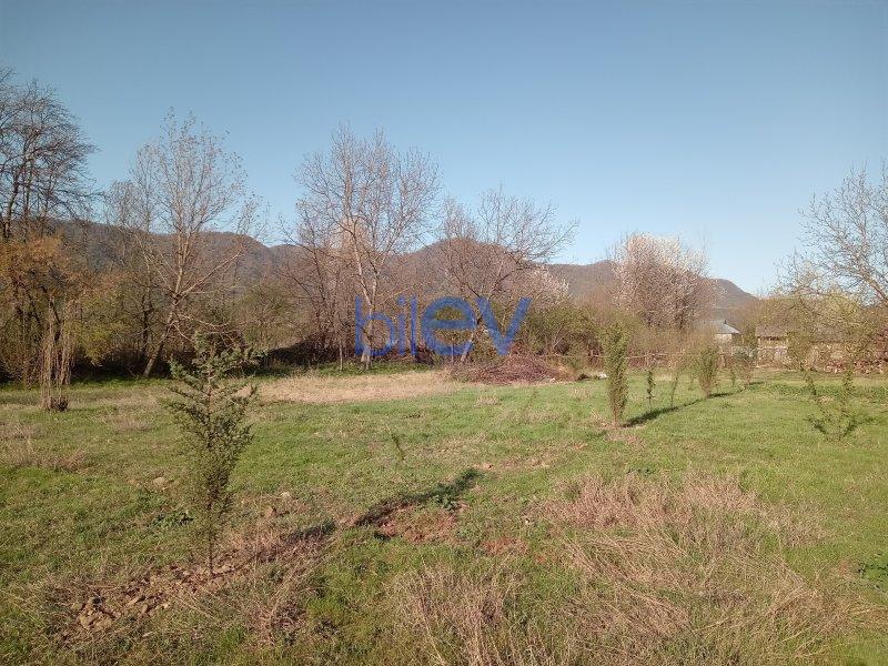 Satılır  otaqlı Torpaq  10m², Qəbələ