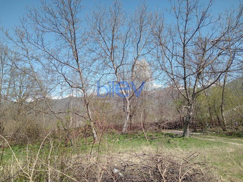 Satılır  otaqlı Torpaq  10m², Qəbələ