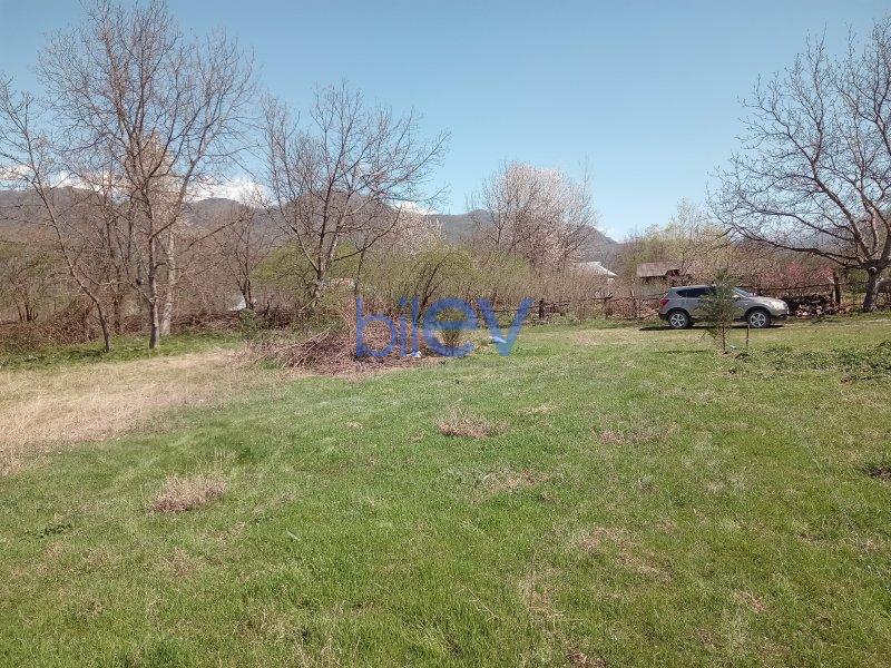 Satılır  otaqlı Torpaq  10m², Qəbələ