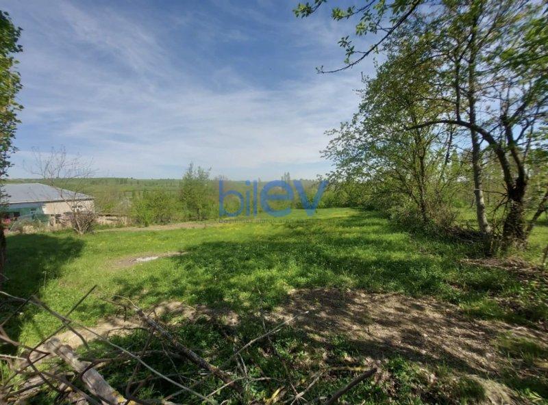 Satış  otaqlı Torpaq  24m², Qusar