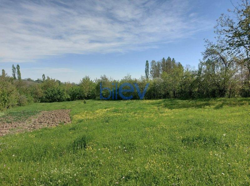 Satış  otaqlı Torpaq  24m², Qusar