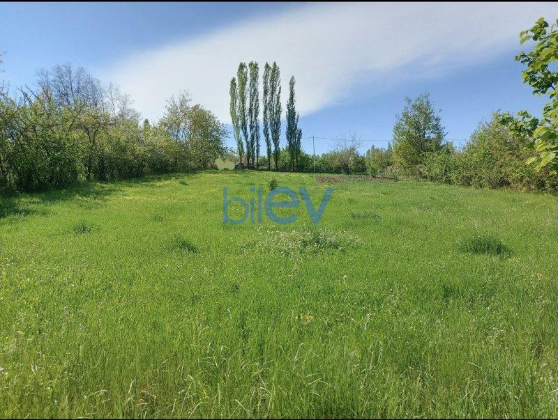Satış  otaqlı Torpaq  24m², Qusar