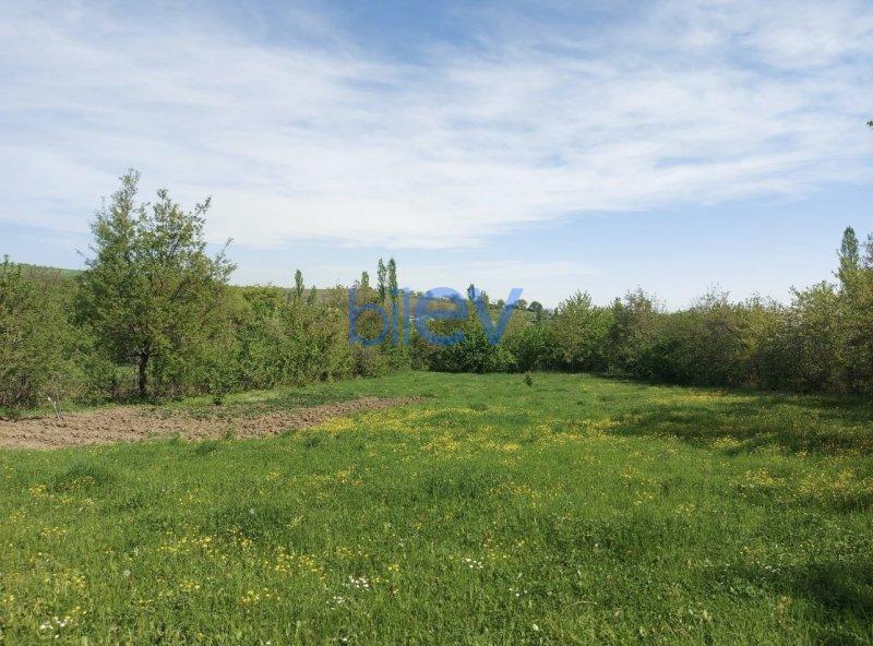Satış  otaqlı Torpaq  24m², Qusar