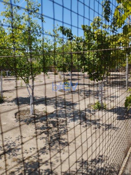 Satılır 5 otaqlı Bağ evi  1150m², Bakı