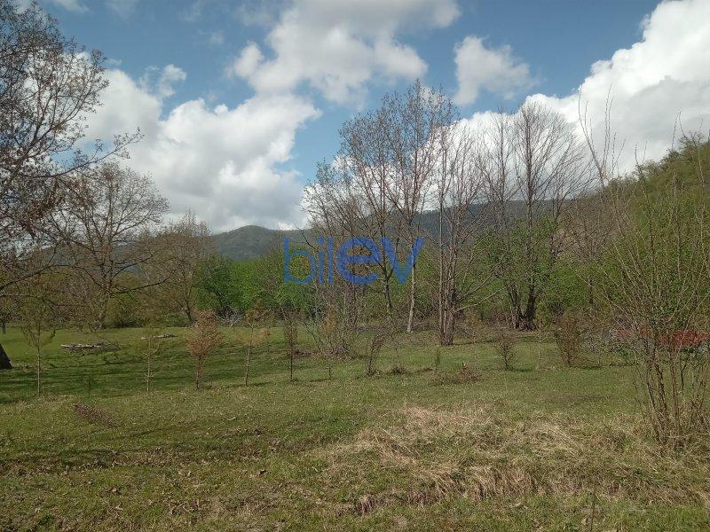 Satılır  otaqlı Torpaq  15m², Qəbələ