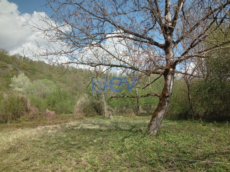 Satılır  otaqlı Torpaq  15m², Qəbələ